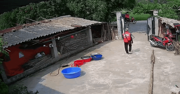 Shipper đến giao hàng bỗng dắt xe máy của khách đi: Đoạn camera an ninh 24 giây được tung lên mạng