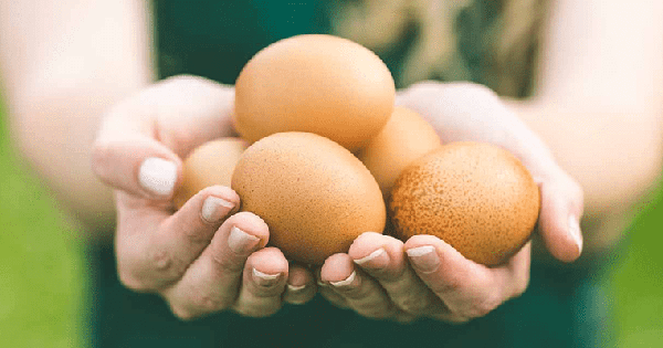 Ăn trứng mỗi ngày có làm tăng mỡ máu? Bác sĩ nói rõ sự thật nhiều người hiểu sai