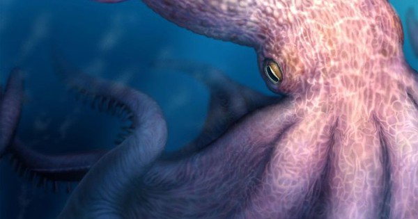 Phát hiện chấn động về loài bạch tuộc khổng lồ dài tới 19 mét: Lịch sử đại dương có thể phải thay đổi