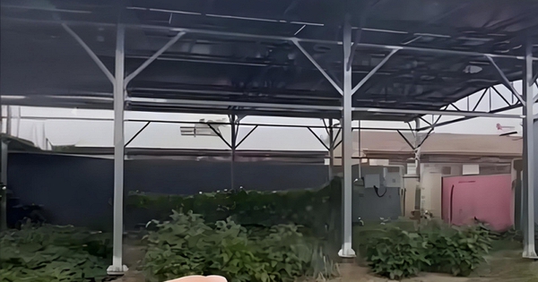 Cho thuê 200m² đất bỏ không để kiếm 115 triệu đồng, người đàn ông lỗ gấp 6 lần, còn bị cơ quan chức năng xử phạt