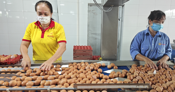 Từ vụ trứng Ba Huân nợ bảo hiểm xã hội kéo dài: Thấy gì từ những 