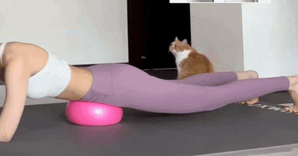 Giải áp trước, siết cơ sau: Nguyên tắc giúp bụng dưới săn chắc hơn