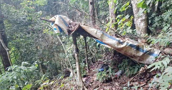 Hiện trường nơi phát hiện bộ xương người trong vườn quốc gia, hé lộ dòng chữ ghi trên áo