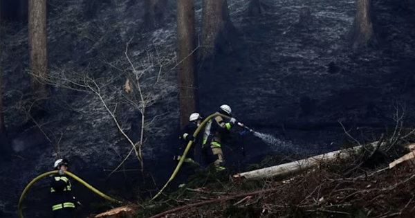 Cháy rừng tại Nhật Bản khiến 3.000 người sơ tán, lính cứu hỏa căng mình dập lửa