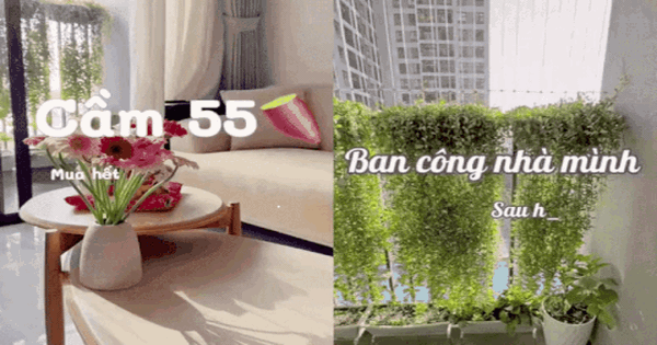 67m² hoàn thiện với 55 triệu: Cặp vợ chồng trẻ ở TP HCM tự làm nội thất, góc ban công xanh mát khiến căn nhà như rộng thêm