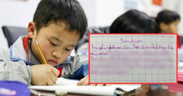 Học sinh tiểu học tả Con chim, đọc xong cười chảy nước mắt!