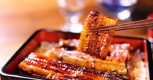 Loại cá rất giàu omega-3, “ăn 1 miếng bằng uống 2 viên dầu cá”: Nhiều người chê không ăn