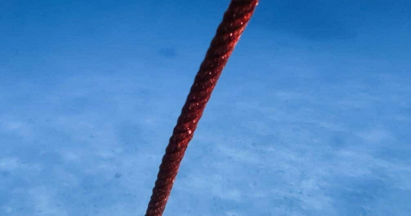 Thả một sợi cáp dài 10 km xuống đáy biển, các nhà khoa học phát hiện 56.000 tín hiệu lạ chỉ trong 21 ngày