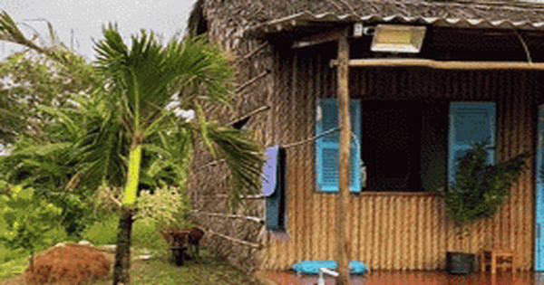 Vợ chồng trẻ rời phố về quê sau 10 năm, chi 130 triệu đồng để dựng nhà lá: Thành quả bất ngờ