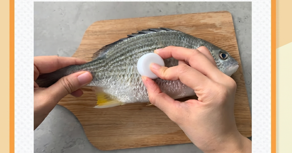 Mẹo đánh vảy cá: Không cần dao hay đồ bào, chỉ dùng 1 