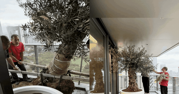 Giới thượng lưu đang 