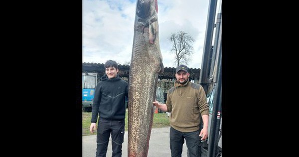 Ngư dân câu được con cá trê khổng lồ nặng 109kg trong hồ