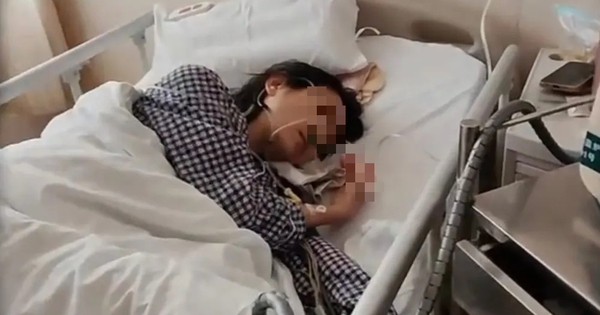 Cả đời chỉ làm 