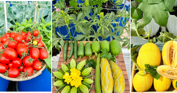 Sự thật về người phụ nữ Đồng Nai nhiều năm 