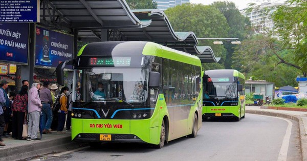 Hà Nội chưa có chủ trương miễn phí xe buýt cho tất cả người dân