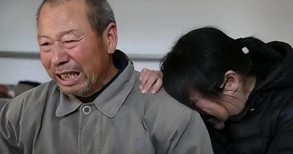 Vì sao 1 mẹ nuôi nổi 10 con mà 10 con không nuôi nổi 1 mẹ: Nguyên nhân thật xót xa!