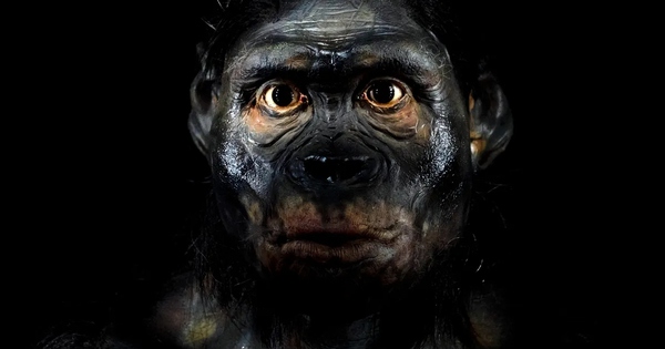 Bí ẩn bộ gen người: Tổ tiên chúng ta từng lai tạo với hai loài siêu cổ xưa, riêng biệt và bí ẩn