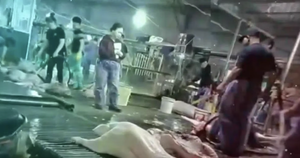 Công an Hà Nội thông tin vụ cán bộ kiểm dịch thú y 