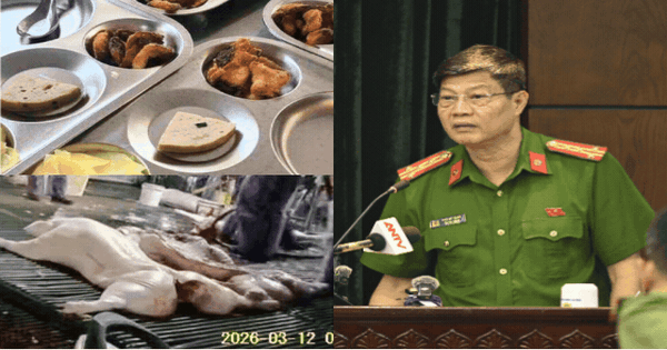 Công an TP Hà Nội: Thịt lợn bệnh đã tuồn vào 26 trường tiểu học và nhiều trường mầm non