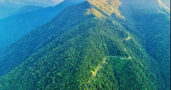 Tạp chí quốc tế công bố "kho báu sống" ở dãy Trường Sơn: Chỉ Việt Nam có