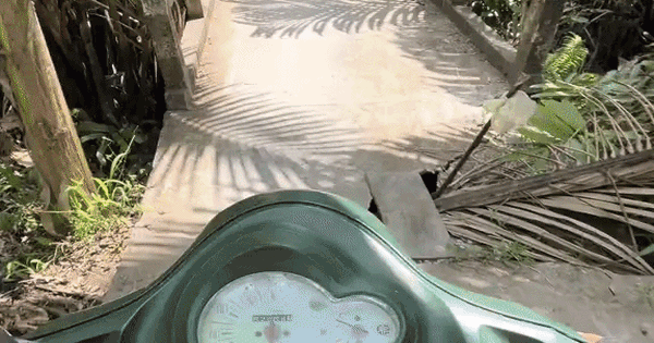 Clip đi qua gần 30 cây cầu mới đến nhà 