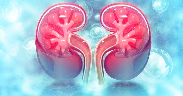 Muốn bảo vệ 2 quả thận, nhất định phải hạn chế 8 loại thực phẩm này