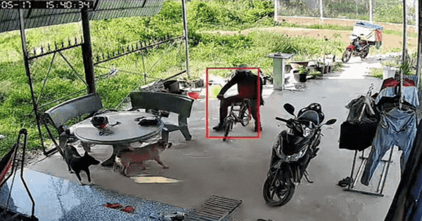 Shipper đi vào nhà trong lúc không có ai mắt đảo liên hồi, sự cố xảy ra vài giây