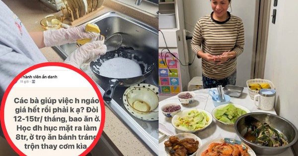 "Các bà giúp việc ngáo giá phải không ạ? Đòi 12 - 15 triệu bao ăn ở trong khi đại học ra đi làm lương 8 triệu"