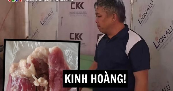 Những câu trả lời NGÂY NGÔ đến VÔ LÝ của bà hiệu trưởng và ông chủ cơ sở cung cấp suất ăn bán trú: Không biết nên cười hay mếu!