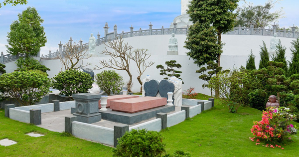 5 loại cây nên trồng trước mộ tổ tiên để tăng phúc lộc cho con cháu