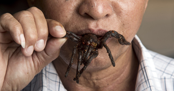 Món ăn kinh dị nhất thế giới: 