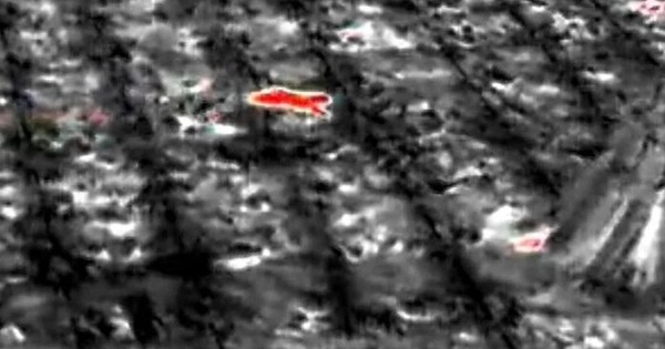 Sinh vật bí ẩn phá nát vườn chuối suốt 2 tuần: 60 người truy tìm khi camera nhiệt ghi lại bóng dáng lạ