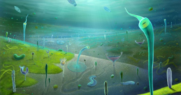 700 sinh vật lạ từ Trung Quốc viết lại lịch sử sự sống