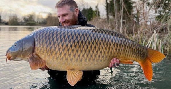 Cần thủ câu được con cá chép khổng lồ nặng gần 29kg