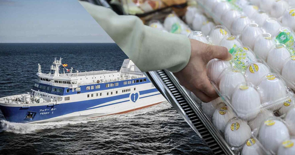 10.500 doanh nghiệp phá sản chỉ trong 1 năm, nền kinh tế thứ 2 châu Á áp lực chưa từng có: Nguy cơ khủng hoảng thập niên 1970 lặp lại