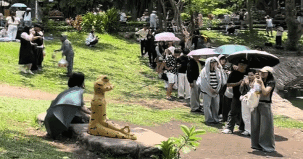 Giới trẻ xếp hàng ở Thảo Cầm Viên chụp ảnh với ếch ngồi thiền và loạt thú hoá đá: Tất cả là từ Sơn Tùng M-TP!