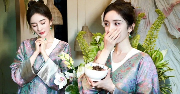 Học Dương Mịch 