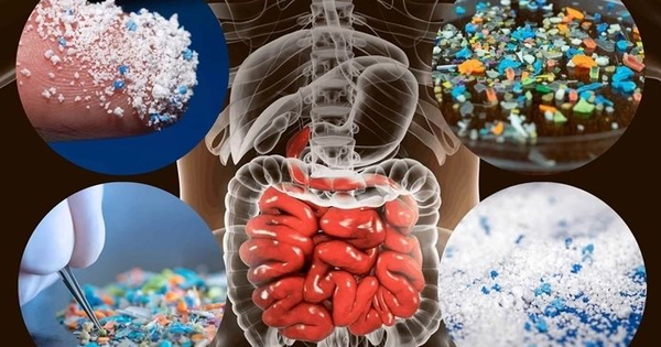 Vật này trong nhà là 