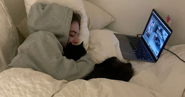 5 dấu hiệu bất thường ban đêm tưởng mất ngủ, hóa ra có thể là cảnh báo ung thư