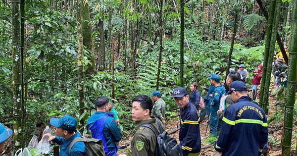 Huy động hơn 300 người tìm kiếm người đàn ông mất tích trong rừng sâu