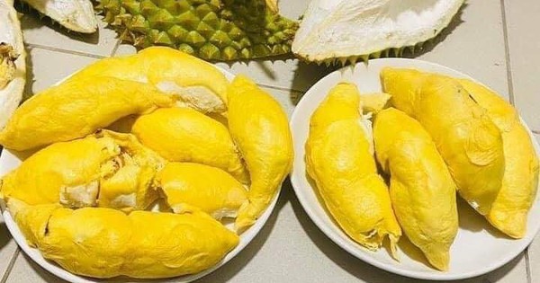 4 điều cấm kỵ khi ăn sầu riêng, 