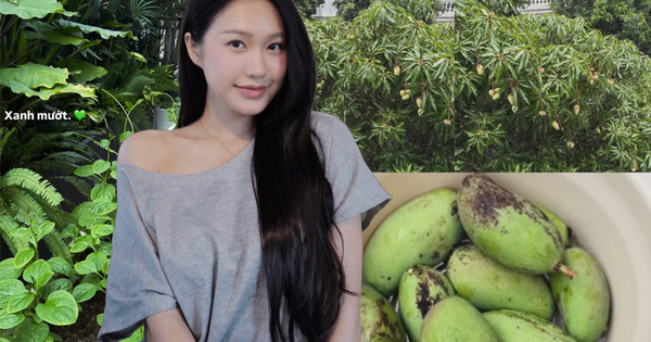 Doãn Hải My ở biệt thự mấy chục tỷ vẫn tự trồng cải xanh, cà chua, mồng tơi, vác rổ đi hái xoài như nông dân chính hiệu