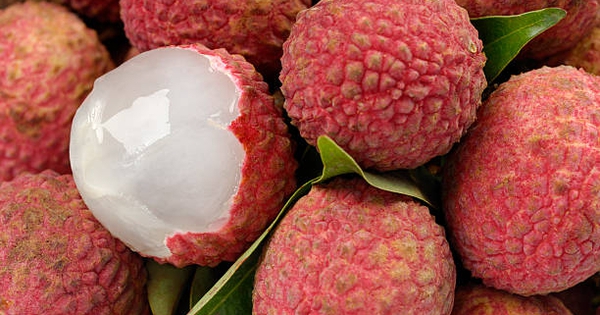 Lời khuyên cho những người thích ăn vải