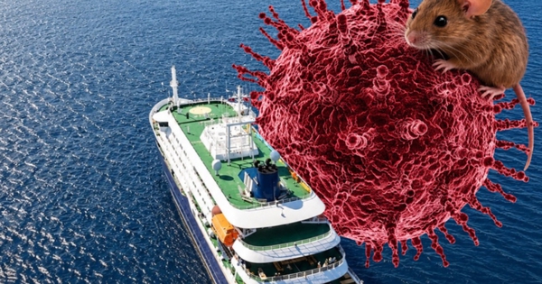 Toàn cảnh hành trình trên du thuyền mang virus Hanta khiến cả thế giới lo ngại: Hơn 1 tháng “nín thở” và tình hình hiện tại