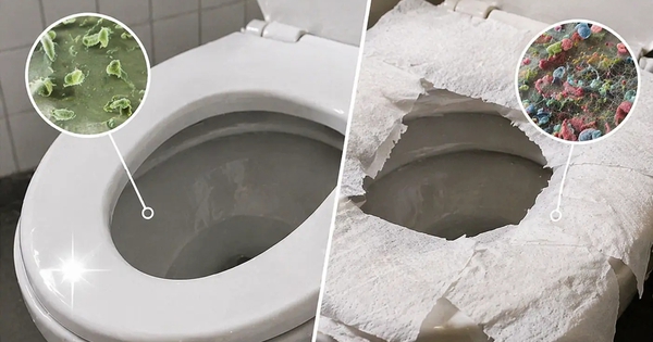 Có nên lót giấy vệ sinh lên bệ bồn cầu ở nhà vệ sinh công cộng? Đến giờ tôi mới hiểu mình toàn 