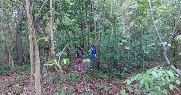 Đi vào rừng rồi không trở về, người đàn ông được tìm thấy trong tình trạng khiến gia đình ngã quỵ