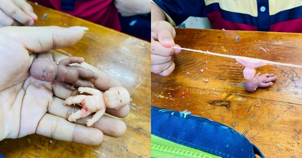 Trào lưu chơi “búp bê Natasha” khiến siêu mẫu Hà Anh lên tiếng: Rùng mình khi thấy trẻ xả stress bằng trò kéo đầu, bẻ chân tay búp bê