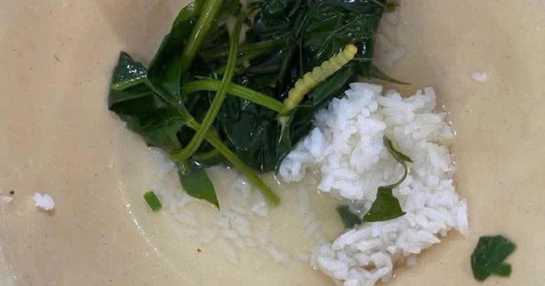 Xác minh thông tin 'vật thể lạ trong thức ăn' của sinh viên ở Huế