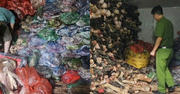 Tiến hành kiểm tra, thu giữ 1.200 kg nội tạng, xương bò bẩn tại một cơ sở kinh doanh ở Hà Nội