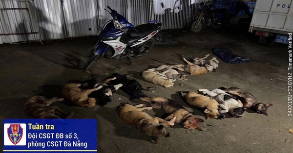 Ngỡ ngàng chiếc xe máy Exciter và bao tải chứa 13 con chó bỏ lại hiện trường